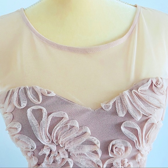 💕Fit and Flare Mesh Dress SZ S - Picture 10 of 15